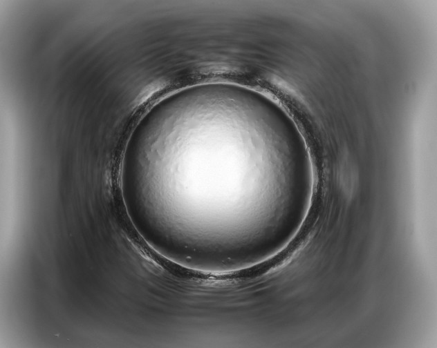 X0000087361305200704271430