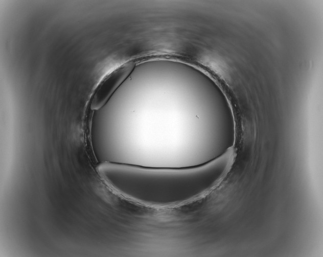 X0000087361308200704271430