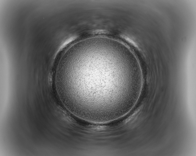 X0000087361309200704271430