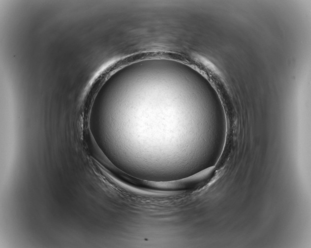 X0000087361310200704271430