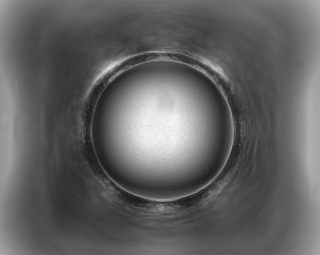 X0000087361311200704271430