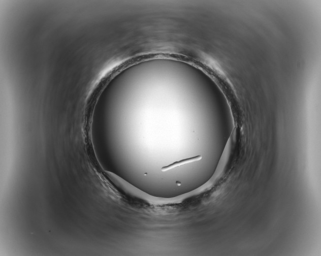 X0000087361312200704271430