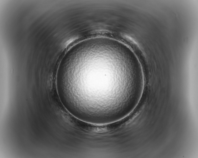 X0000087361313200704271430