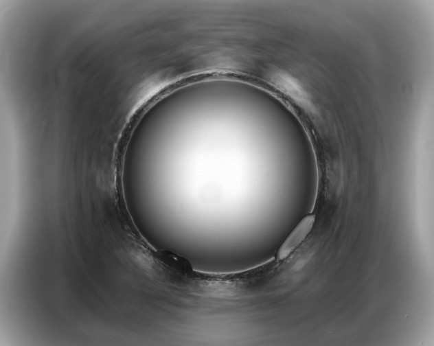 X0000087361316200704271430