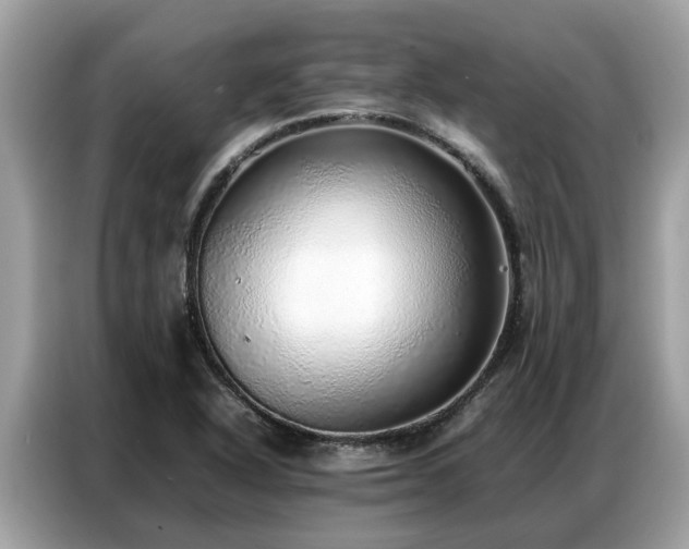 X0000087361318200704271430