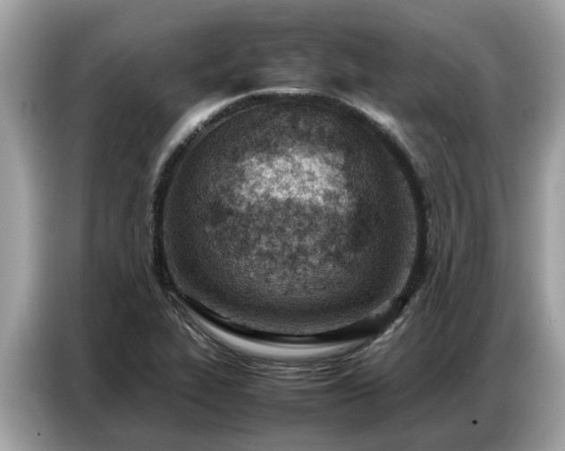 X0000087361319200704271430