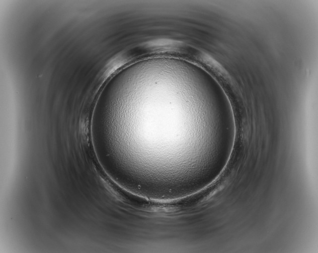 X0000087361321200704271430