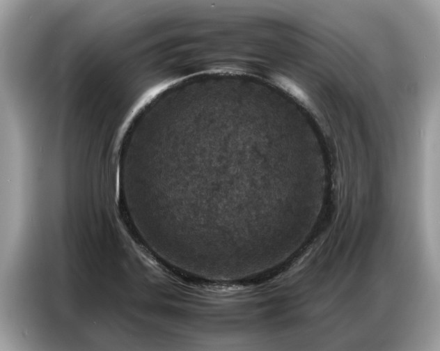 X0000087361323200704271430