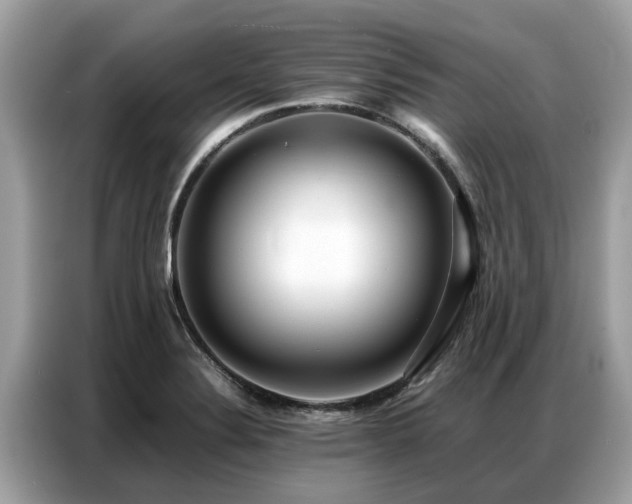 X0000087361324200704271430