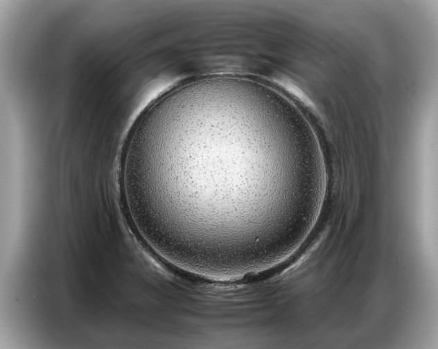 X0000087361325200704271430