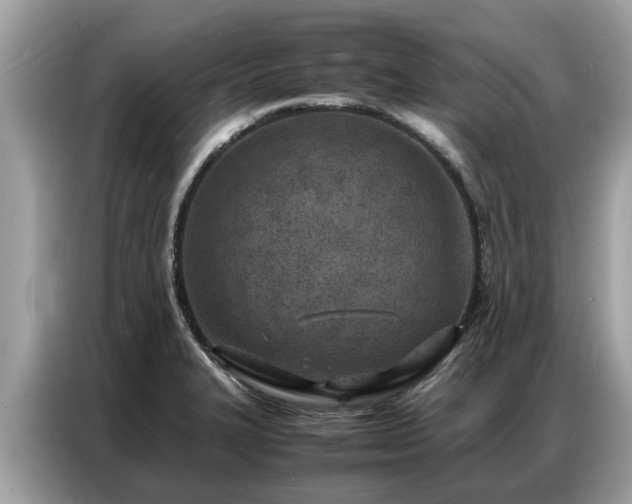 X0000087361327200704271430