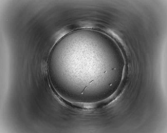 X0000087361329200704271430