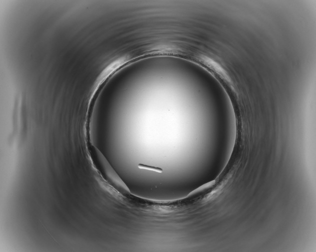 X0000087361330200704271430