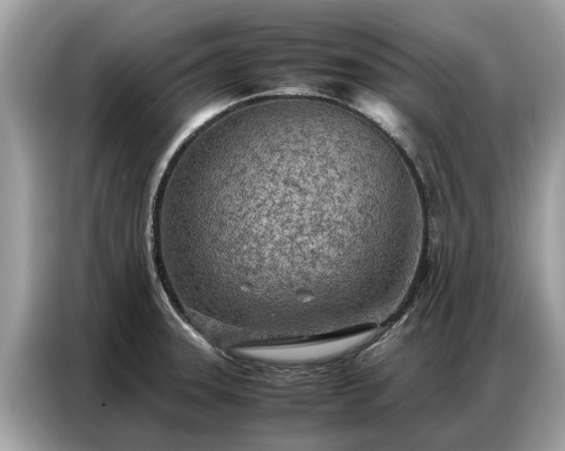 X0000087361331200704271430