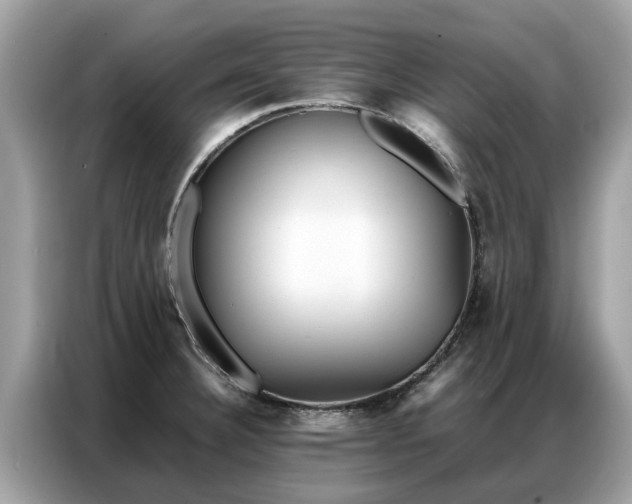 X0000087361332200704271430