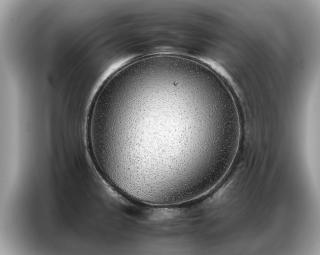 X0000087361333200704271430