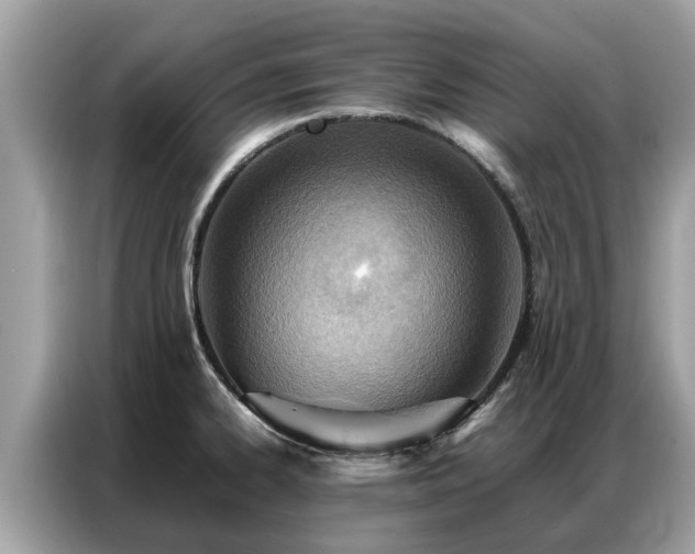 X0000087361334200704271430