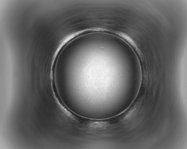 X0000087361335200704271430