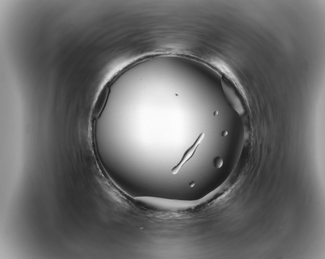 X0000087361336200704271430