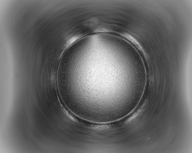 X0000087361337200704271430