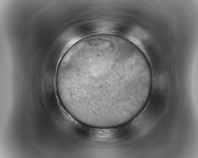 X0000087361338200704271430