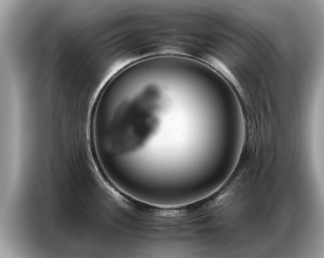 X0000087361339200704271430