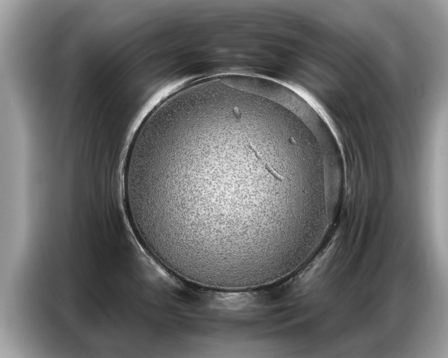 X0000087361341200704271430