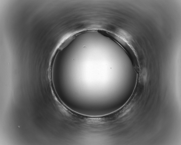 X0000087361342200704271430
