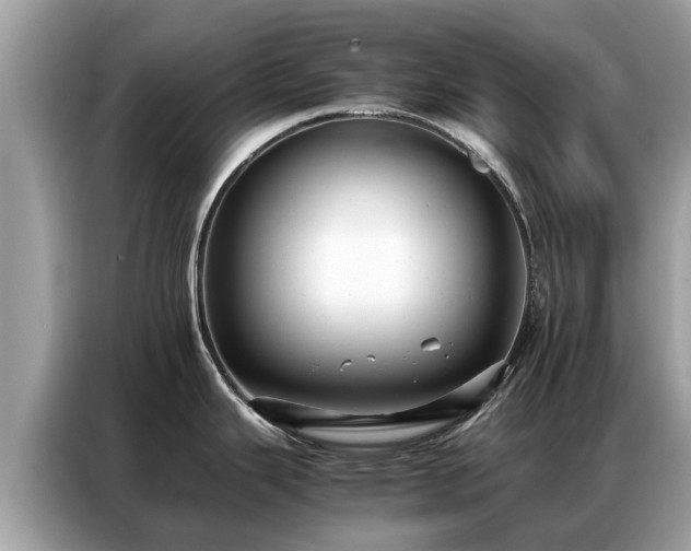 X0000087361343200704271430