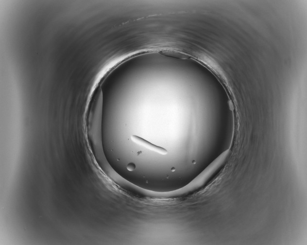 X0000087361344200704271430