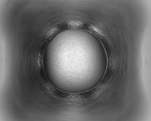 X0000087361346200704271430