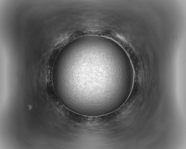 X0000087361350200704271430