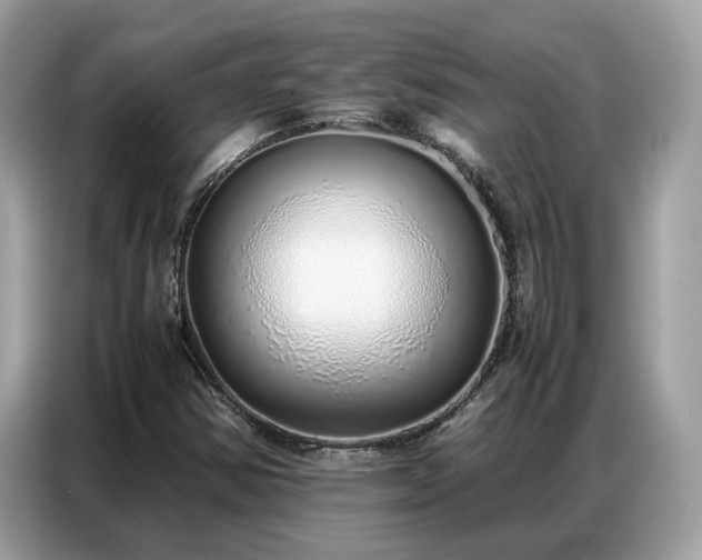 X0000087361354200704271430