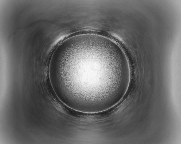 X0000087361355200704271430
