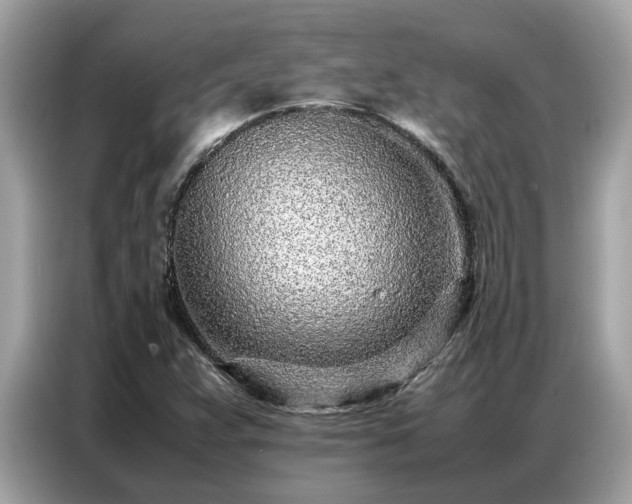 X0000087361359200704271430