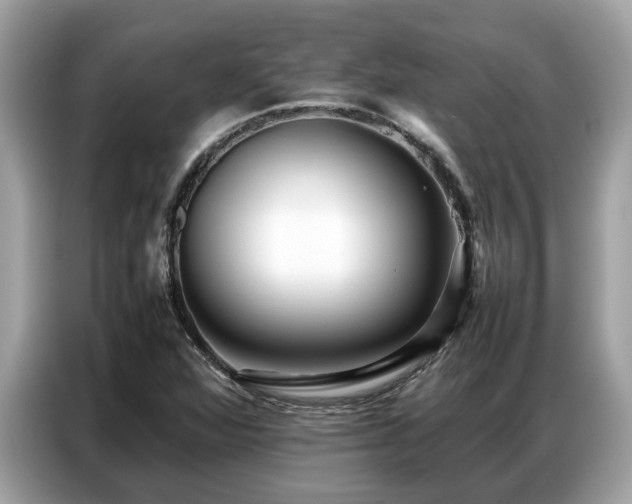 X0000087361360200704271430