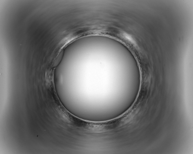 X0000087361361200704271430