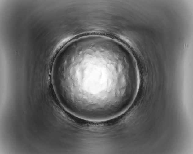X0000087361363200704271430
