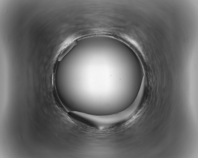 X0000087361365200704271430