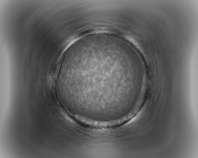 X0000087361369200704271429