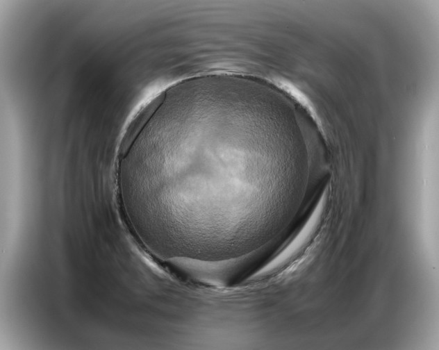 X0000087361373200704271429