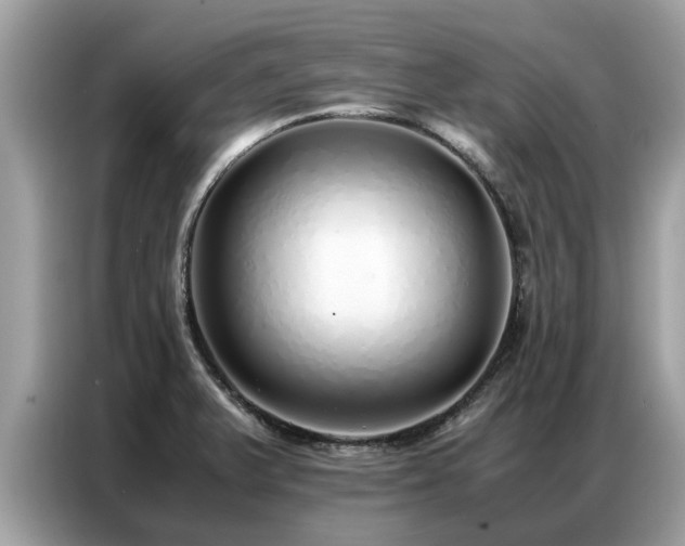 X0000087361375200704271429