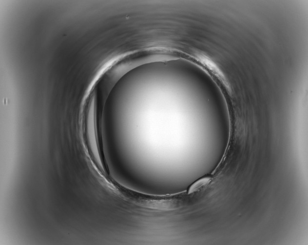 X0000087361376200704271429