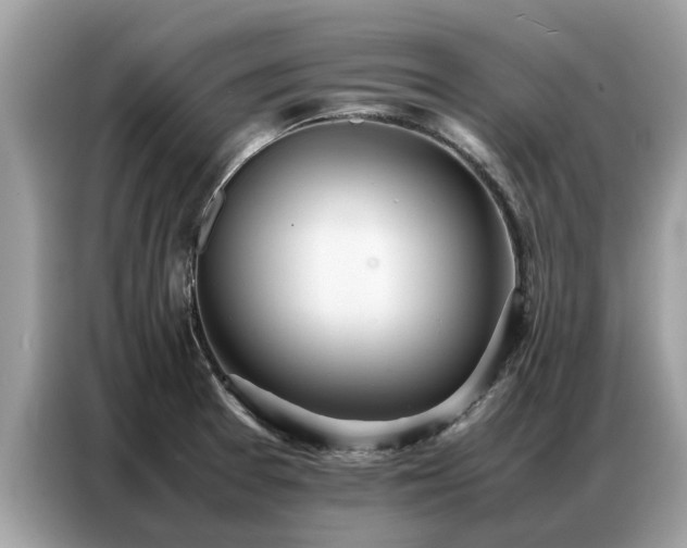 X0000087361377200704271429