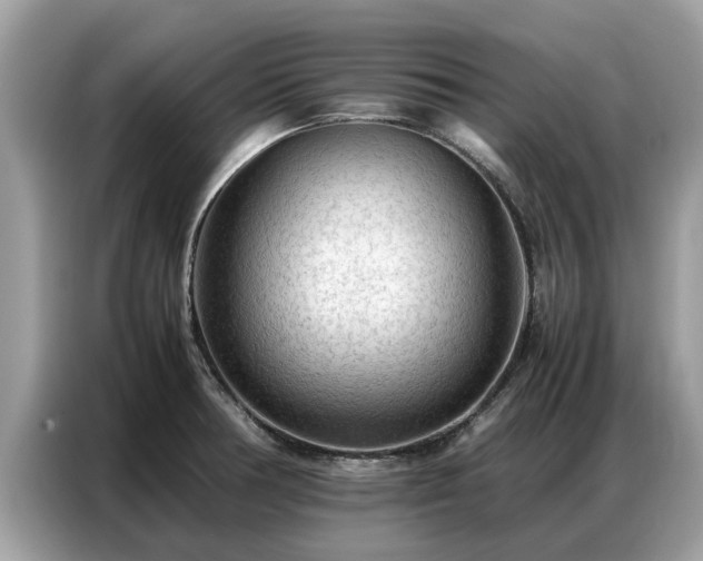 X0000087361378200704271429