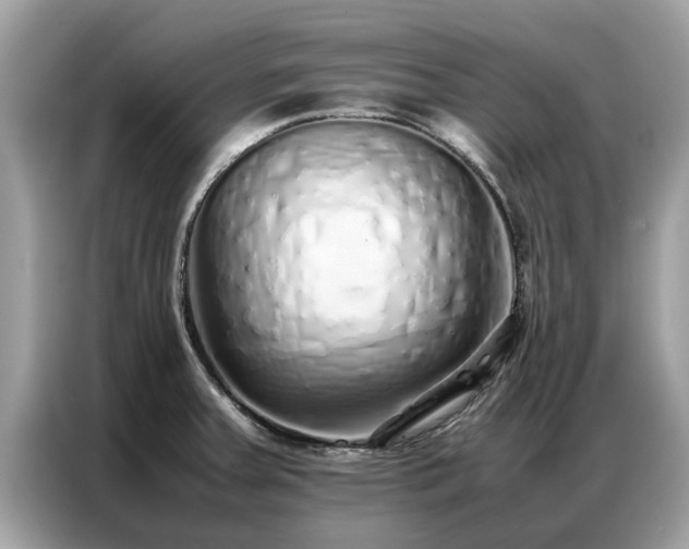 X0000087361379200704271429