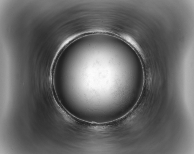 X0000087361380200704271429