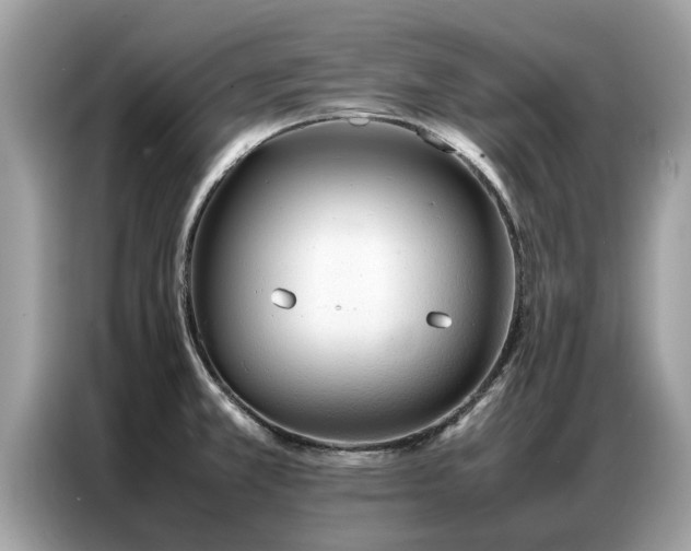 X0000087361381200704271429