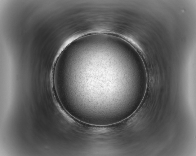 X0000087361382200704271429