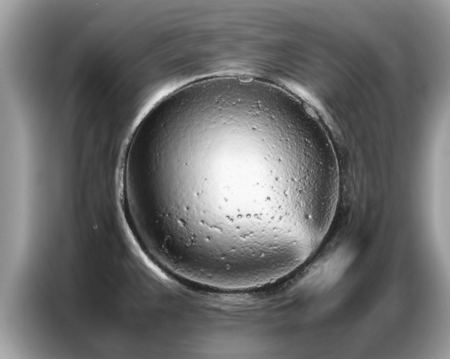 X0000087361383200704271429
